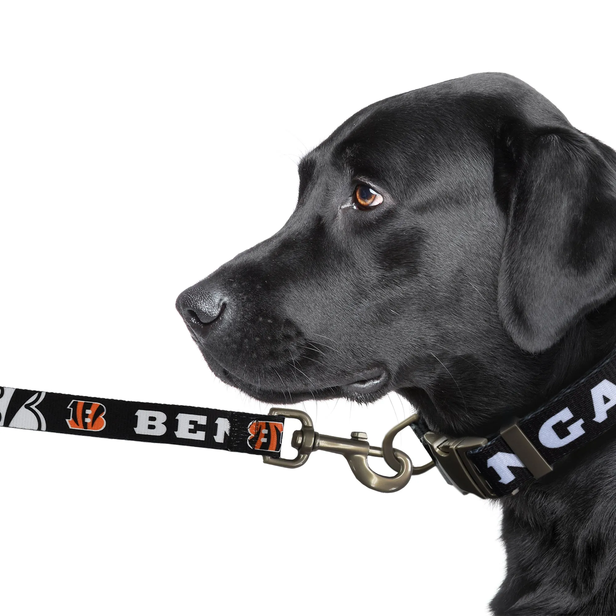 Cincinnati Bengals Premium Pet Lead